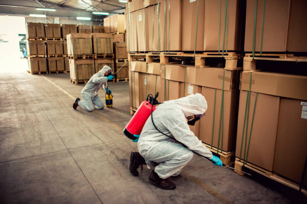 Best Pest Control Near Me  in Victoria, VA