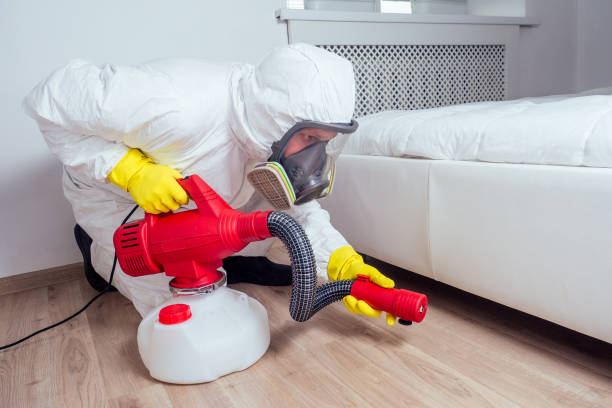 Best Flea Control Services  in Victoria, VA