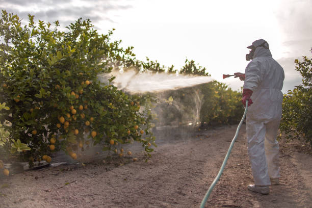 Best Pest Removal Services  in Victoria, VA