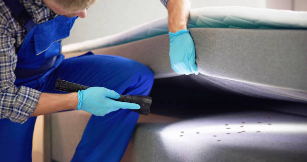 Best Best Pest Control Companies  in Victoria, VA