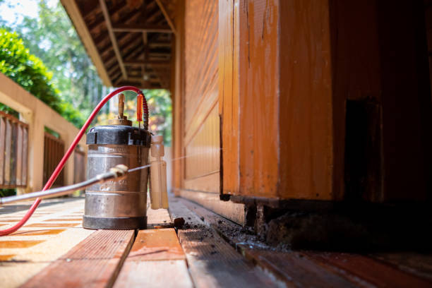 Best Local Pest Control Services  in Victoria, VA