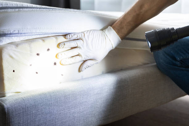 Best Mosquito Control Services  in Victoria, VA