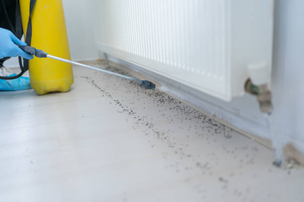 Best Bed Bug Extermination  in Victoria, VA
