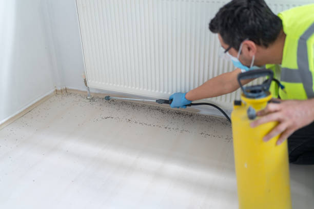 Best Residential Pest Control  in Victoria, VA