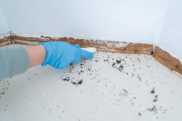 Best Pest Inspection Near Me  in Victoria, VA